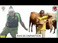 AVIS DE DISPARITION 