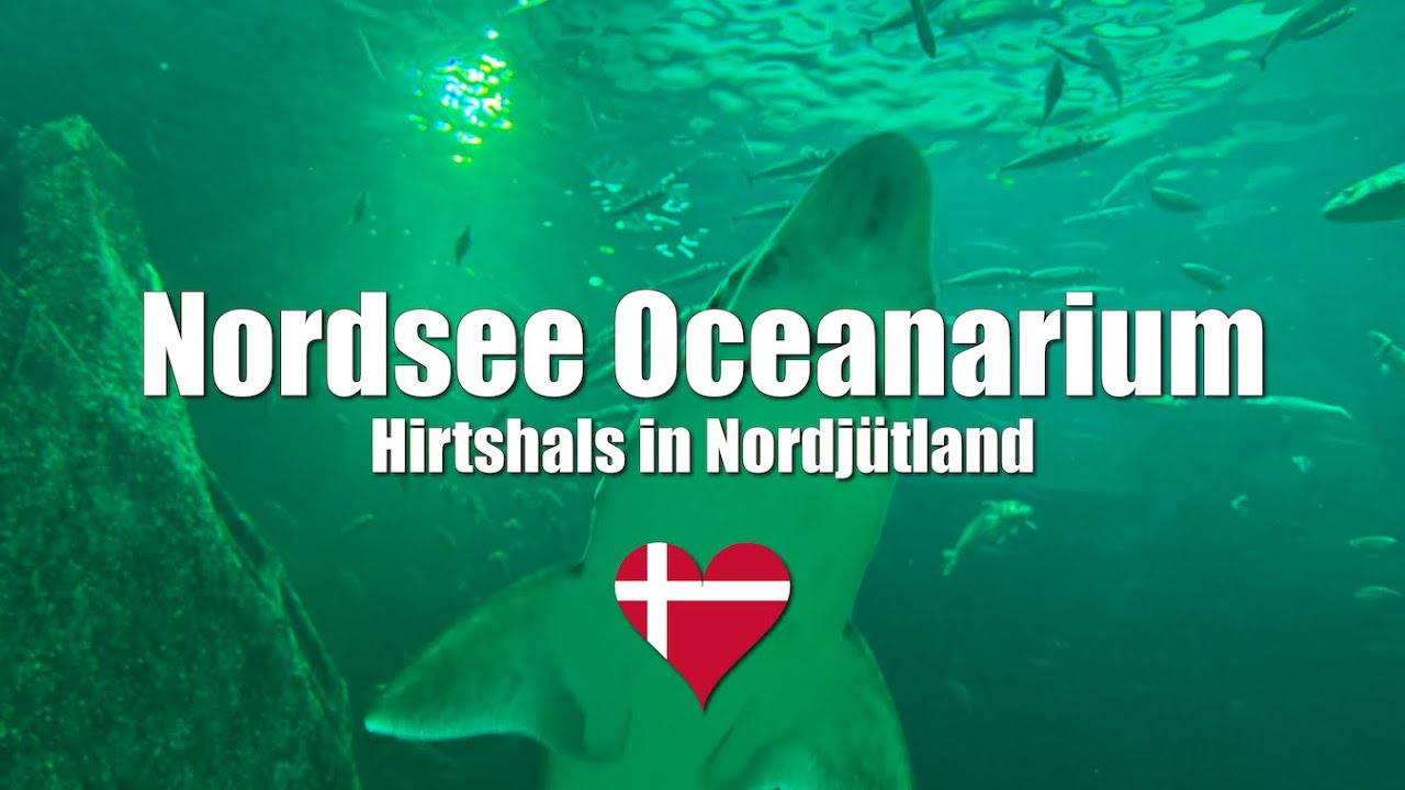 Nordsøen Oceanarium - Hirtshals