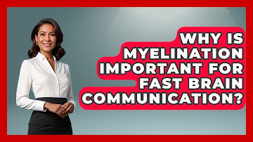 Why Is Myelination Important For Fast Brain Communication? - Brain Development Hub