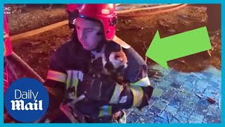 Ukraine firefighters rescue cat from building on fire after military strikes in Kharkiv