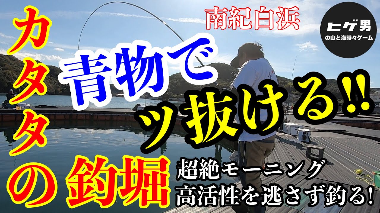 【海上釣堀】青物がヤバい！！初挑戦のカタタの釣堀が凄かった！