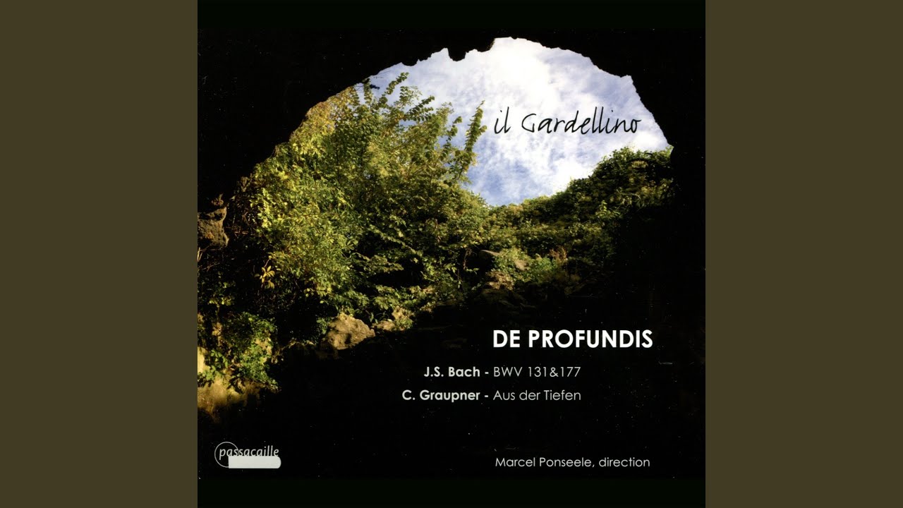 Cantata BWV 131 : Chorus: "Aus der Tiefen rufe ich, Herr, zu dir" Cantata BWV 131 : Chorus: "Aus der Tiefen rufe ich, Herr, zu dir"