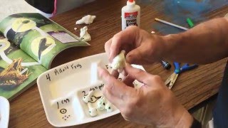 Rick Crosslin Science - Frog Life Cycle - Second Grade Science