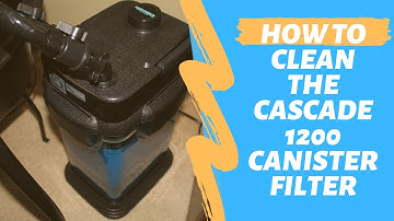 How To: Clean Cascade 1200