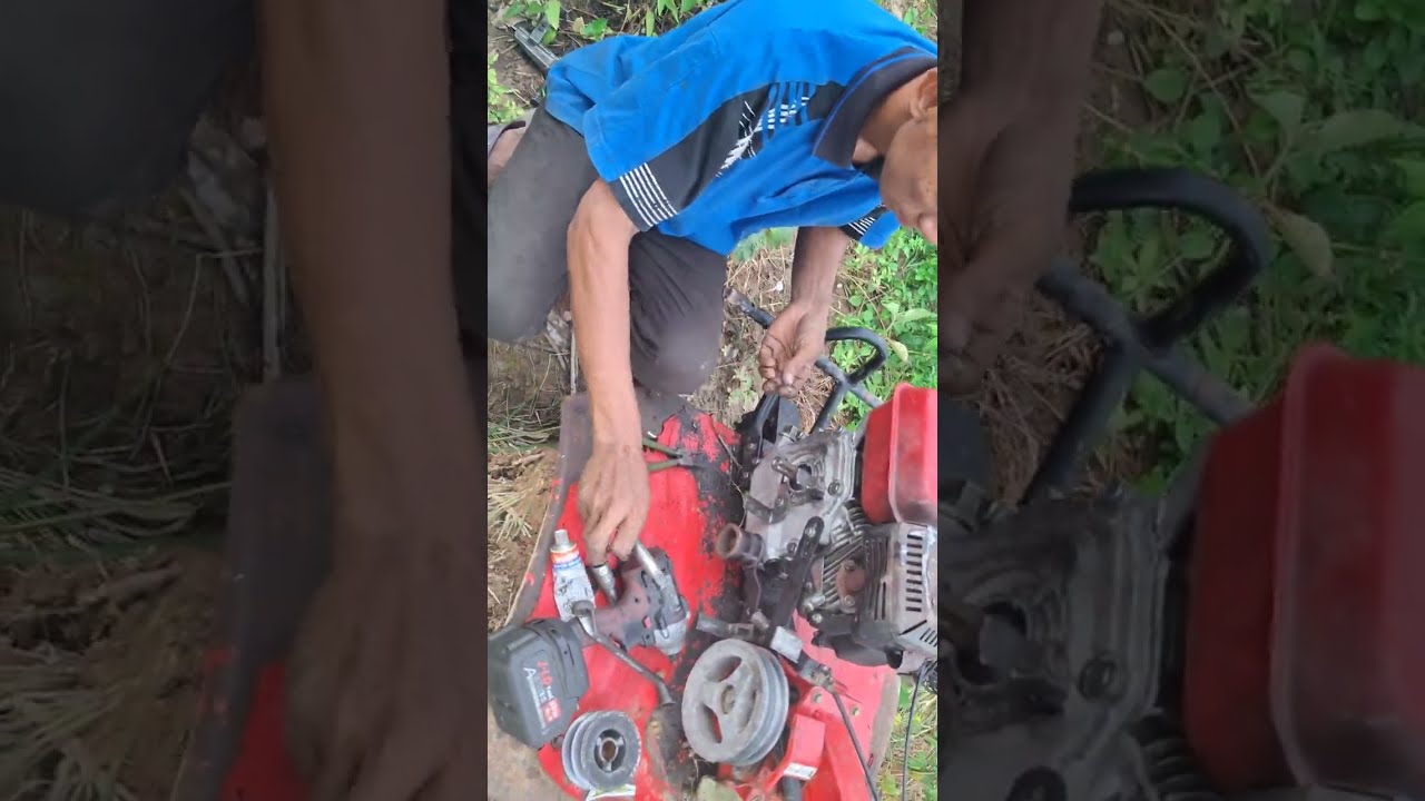 Servis mesin GX 160 dikebun pepaya...alhamdulillah dapat duit,dapat pepaya juga