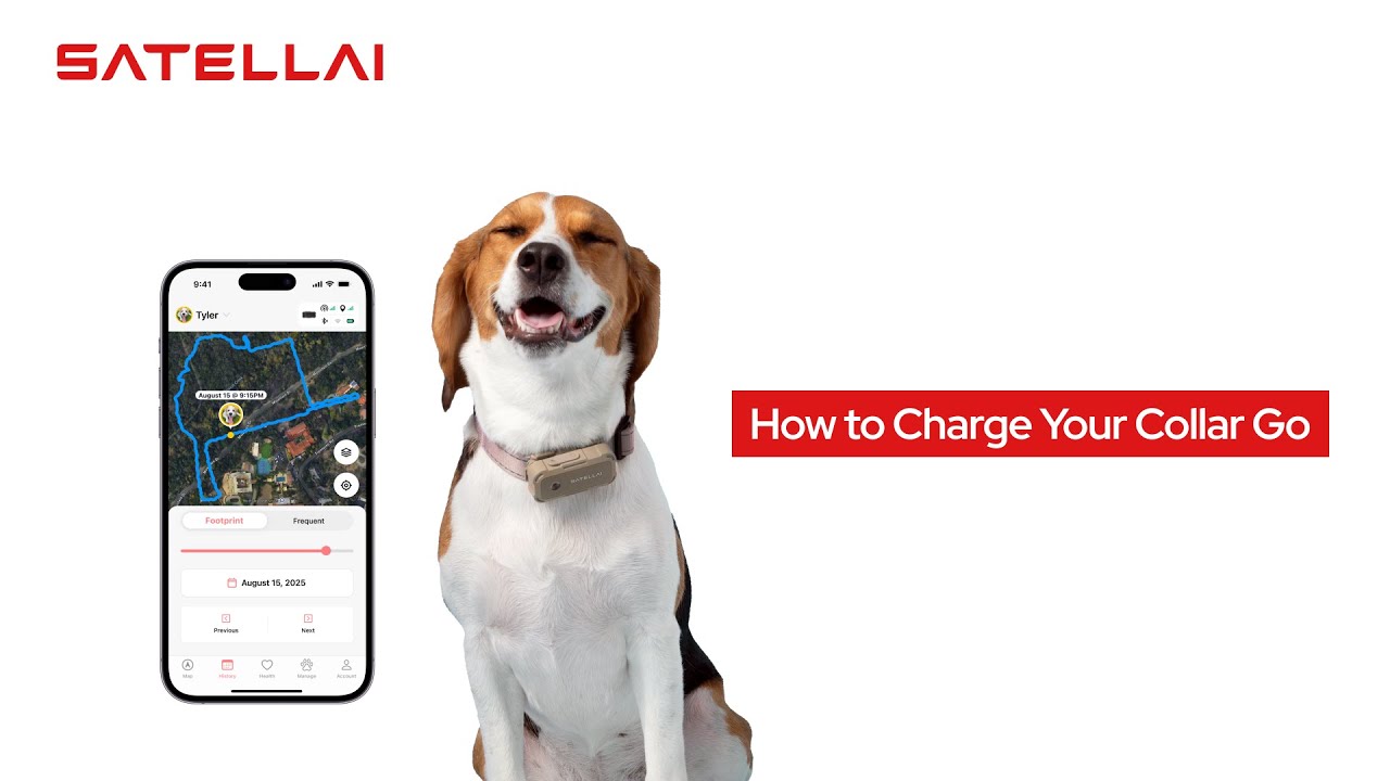 Collar Go Battery Dead? Here's What to Do - YouTube
