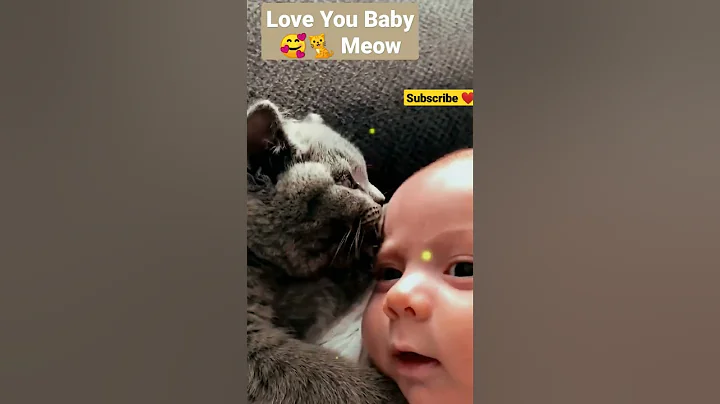 Watch the video about Love You Baby 🥰🐈 Meow 😻