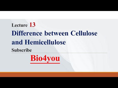 Video: Unterschied Zwischen Cellulose Und Hemicellulose