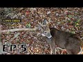 October Lull, Hunting Property With Heavy Deer Population, EP:5 Bow Series