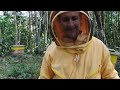 Metodo de Introduccionde abejas reinas 100% efectivo