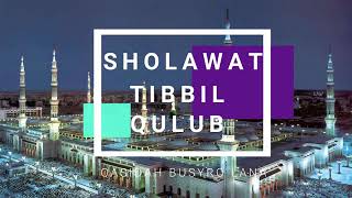 Sholawat Tibbil Qulub   Busyro Lana