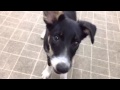 リルリル