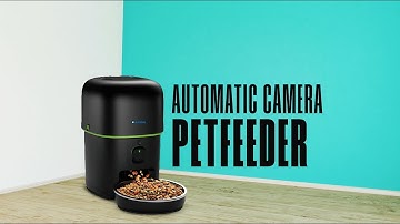 Feed Your Pet From ANYWHERE With HI-FOCUS Automatic Camera Pet Feeder!