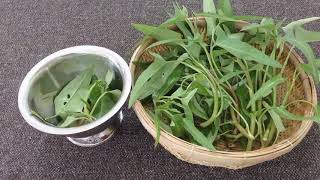 Natural cosmetics for skin and hair with water spinach