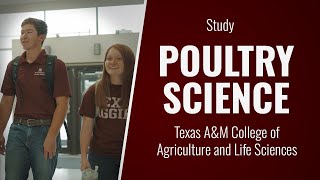 Study Poultry Science at the College of Agriculture and Life Sciences