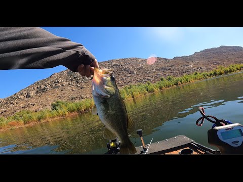 After Halloween bass fishing, Perris lake.