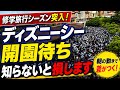 【超必見】ディズニーシー開園待ち攻略法‼️ 知らないと終わります。