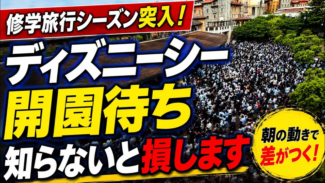 【超必見】ディズニーシー開園待ち攻略法‼️ 知らないと終わります。