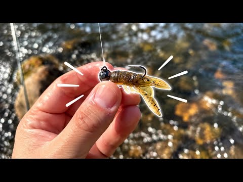 Smallmouth Fishing With A Tiny Ned Rig (and other baits).
