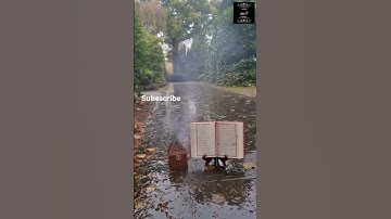 القرآن الكريم بصوت جميل ،quran karim ,بصوت هادئ وجميل #quran #tilawat