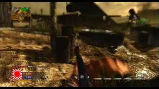 WaW : 6 Kill Streak And Dogs : TDM on AirFeild