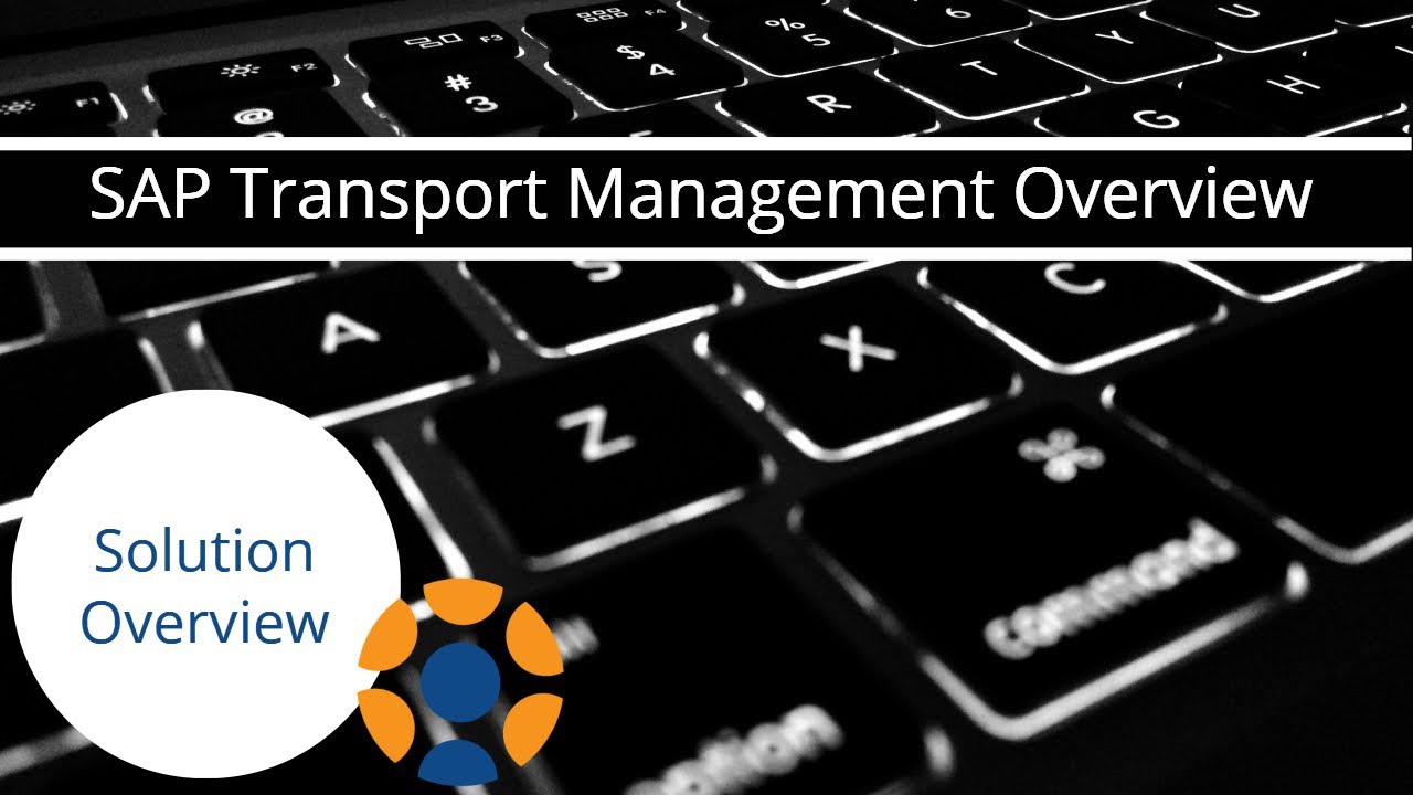 SAP Transport Management Overview YouTube