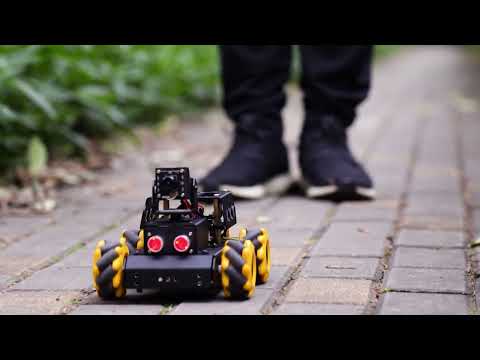 Obstacle Avoidance + Autonomous Driving