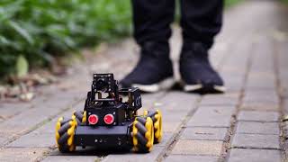 Obstacle Avoidance + Autonomous Driving