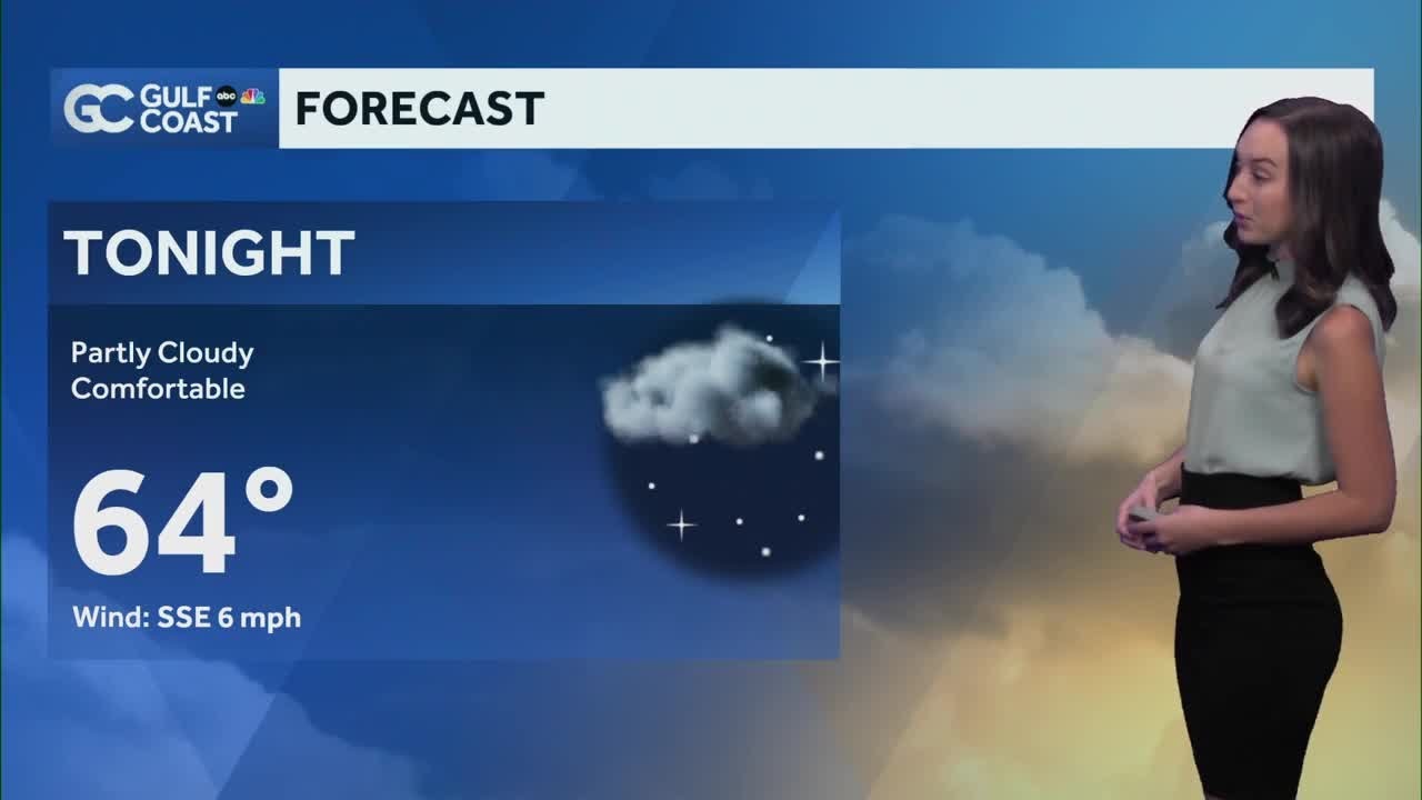 Rain chances return to the Gulf Coast this weekend - YouTube