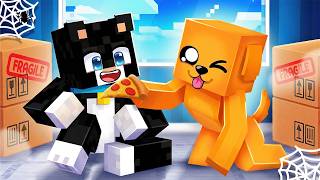 PROZKOUMÁVÁME OPUŠTĚNOU PŮDU v Minecraftu! *magické*