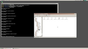 Porting my compiler to SerenityOS