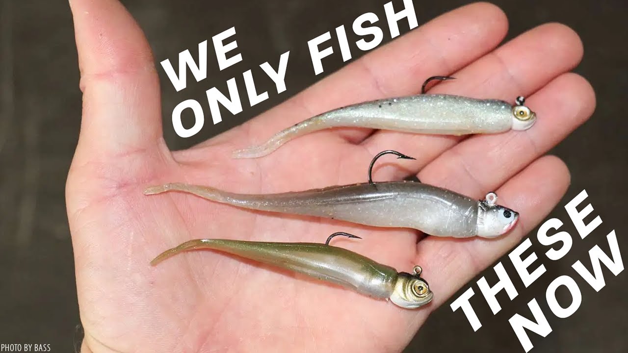 Hover Strolling for Bass – Forget Everything You THOUGHT You Knew About Jighead Minnow Fishing