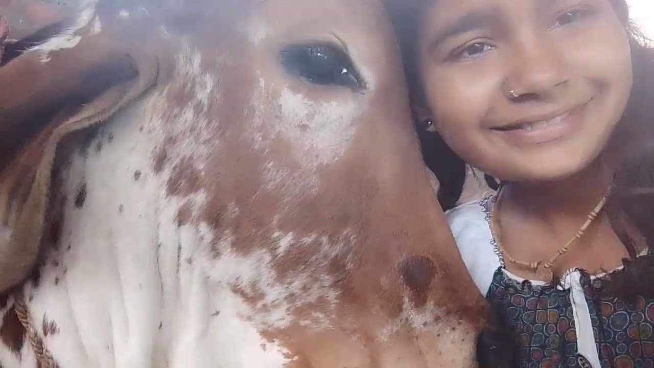 राधे राधे आपको मुरलीधर ब्लॉक में स्वागत है।#gaumata#gaubhkt#gaumata#todayvlog#gaumata#radhakrishna#
