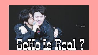 Download Lagu SeHo ( Sehun × Suho ) Moments / Safari MP3