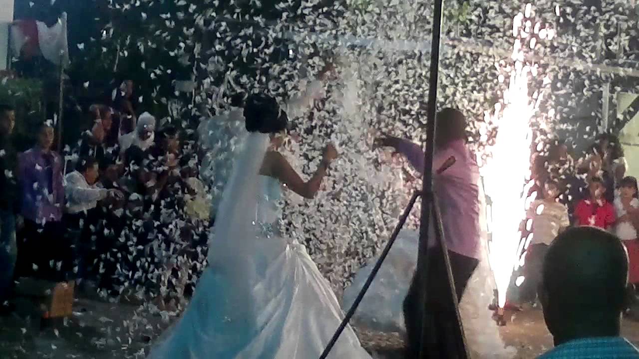 افراح ال بخيت -علي شحيبر (عرب الشبلي)