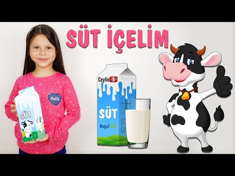 Ceylin-H | Süt
