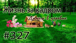 #327 ЖИЗНЬ ЗА КАДРОМ ! СРОЧНО РЕАНИМИРУЕМ ТУИ ПОСЛЕ ЗИМЫ !!!