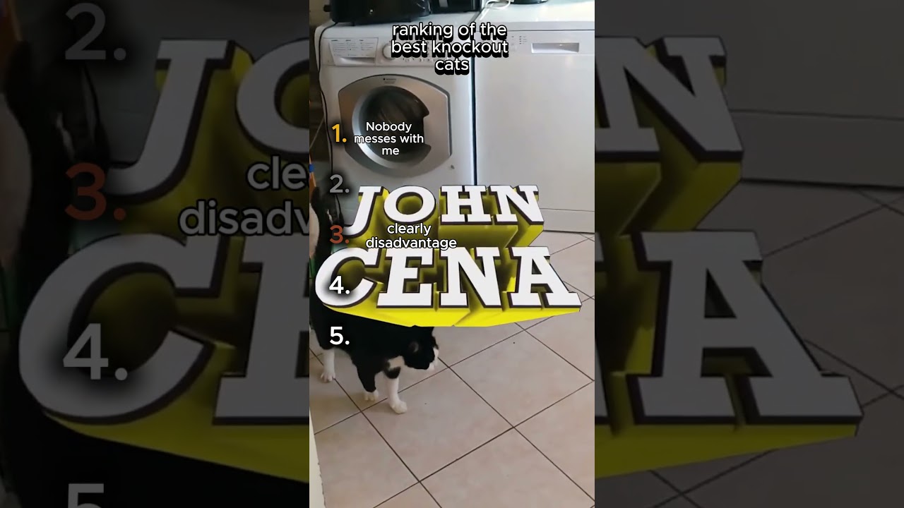 Cat Does a John Cena K.O. 💪🐱😂 