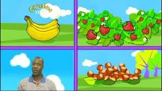 CBeebies Continuity 2007 Sunday 23rd December 2007 Complication