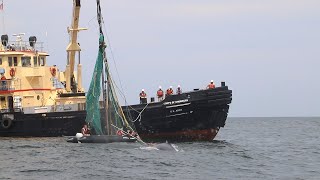 Saving a Humpback Whale: A Disentanglement Tale