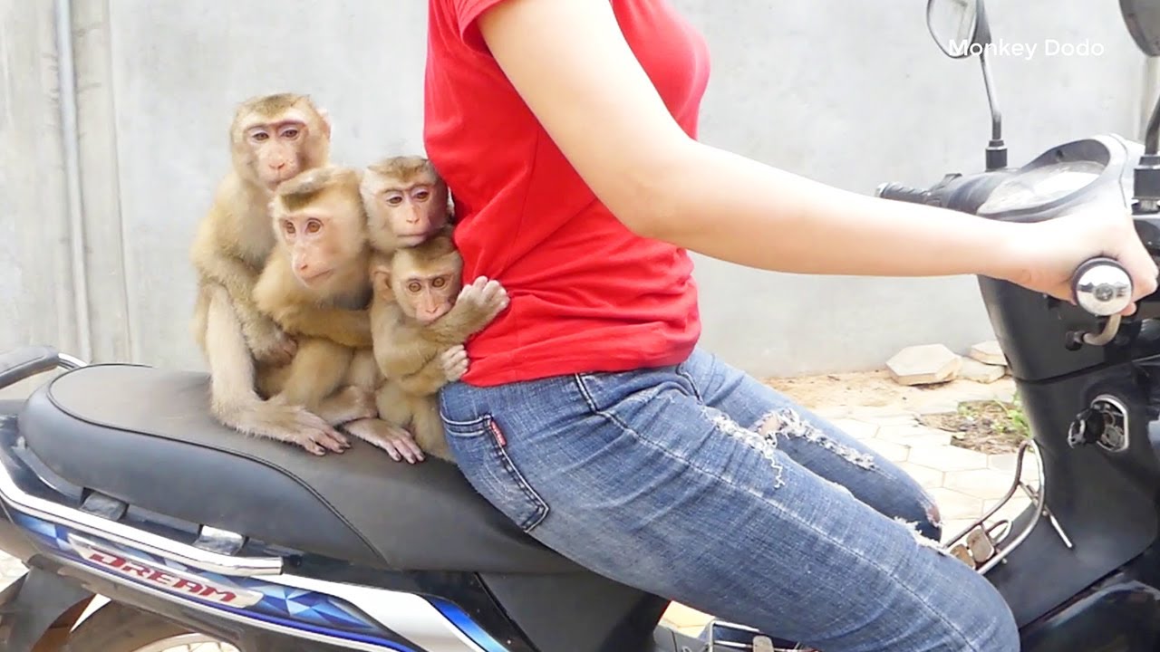 4 Adorable Hug Mom So Strong When Ride Motorbike With Mom