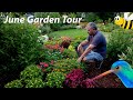 July Garden Tour - Small Space Garden - Pollinator Garden