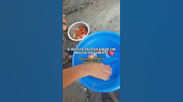 COOKING Sea SNAILS In Mozambique Typical Food Moçambique Mozambique Food Culture 