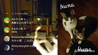 🌙Night Ta'k🍀52