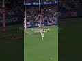 The ending is a JUMP SCARE 💀 #afl #footy #haircut #fail