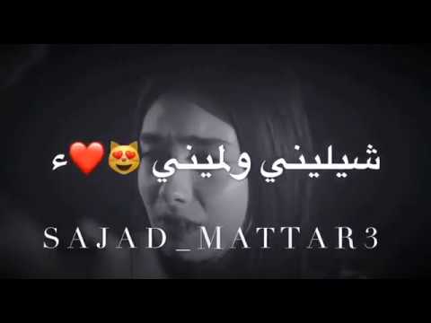 ياسر عبد الوهاب شيليني ولميني 2019