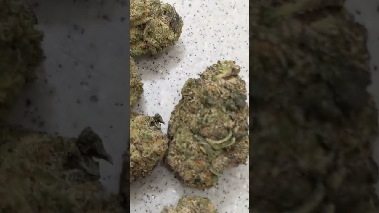 ⛽🥞 Pancakes & Pink🦩Runtz high THCA indoor flower from 8horses hemp🥞⛽