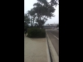 P42DC 135 leads Amtrak Southbound through Del Mar Surf Stat