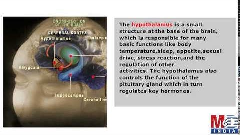 How Does Depression Take Place