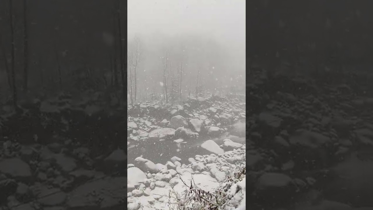 Live Snowfall in Manali 